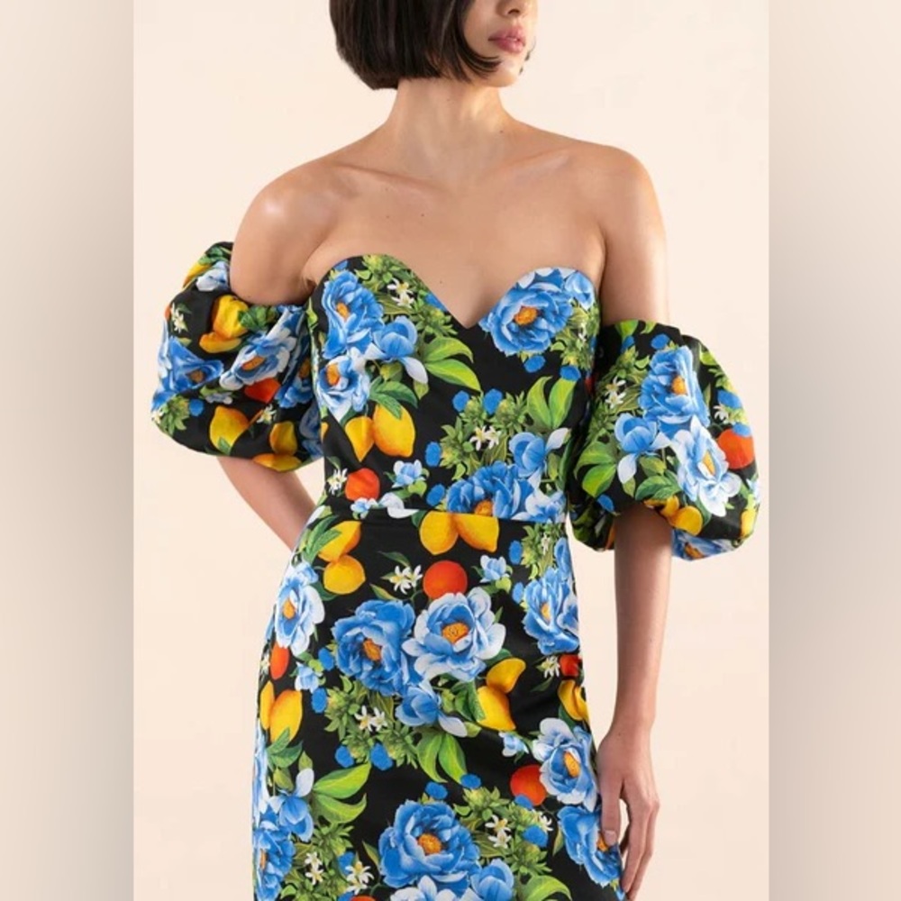 BORGO DE NOR
TATI MIDI DRESS IN PEONIA BLACK
 Uk 10 US 6